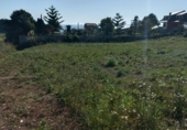Земля на продажу у города Sangenjo Фото