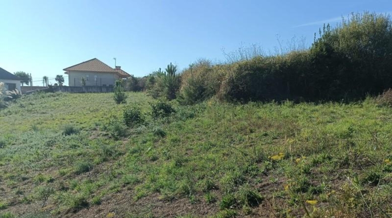 Pontevedra - Sanxenxo - 3500m2
