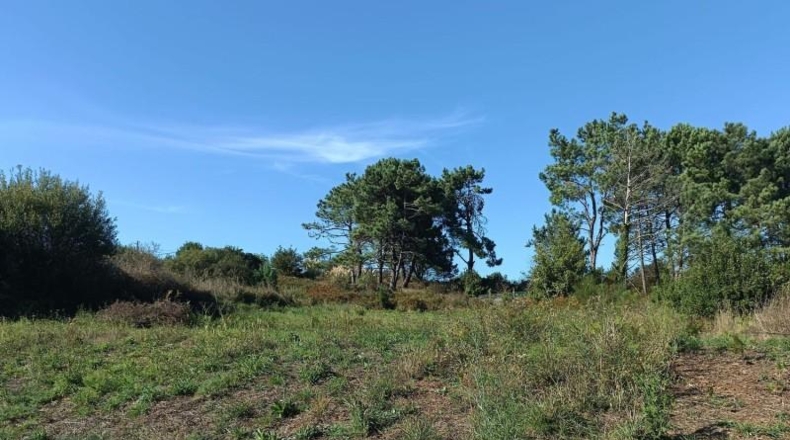 Pontevedra - Sanxenxo - 3500m2