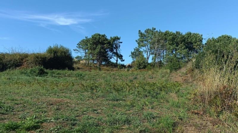 Pontevedra - Sanxenxo - 3500m2