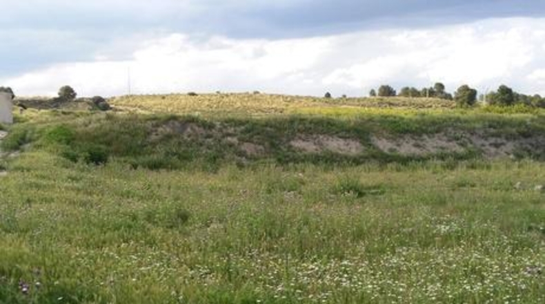 Múrcia - Calasparra - 62000m2