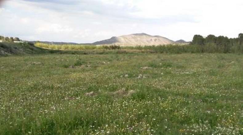 Múrcia - Calasparra - 62000m2