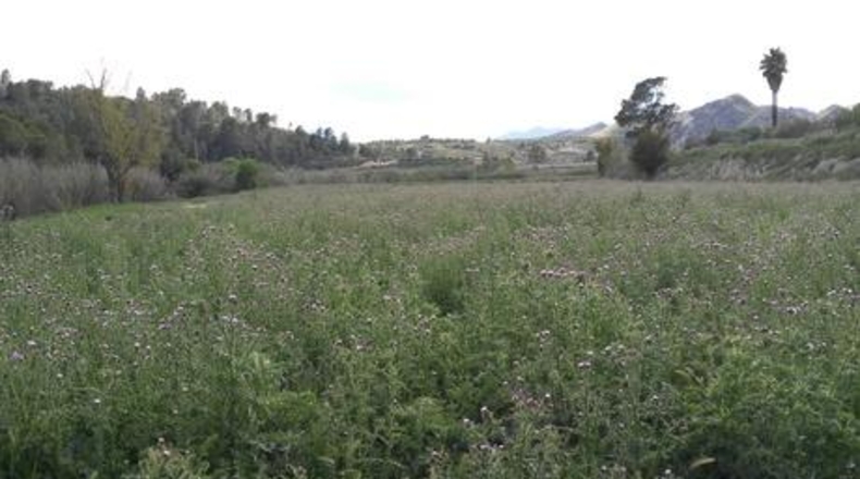 Múrcia - Calasparra - 62000m2