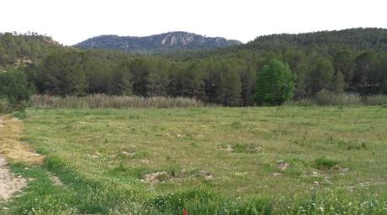 Múrcia - Calasparra - 62000m2