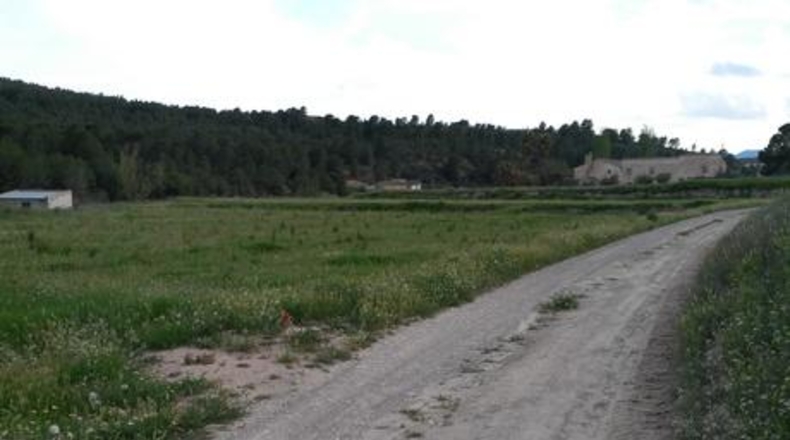 Múrcia - Calasparra - 62000m2