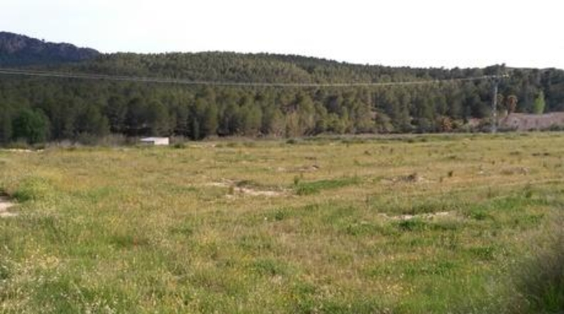 Múrcia - Calasparra - 62000m2