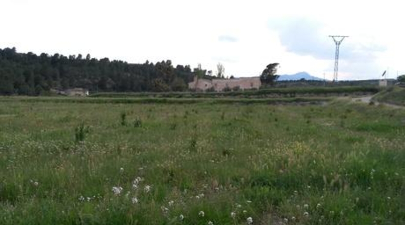 Múrcia - Calasparra - 62000m2