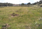 Terreny no urbanitzable en venda a la España, Calasparra, ref.: TR119472 foto