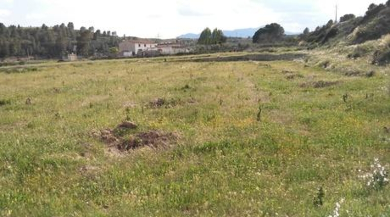 Múrcia - Calasparra - 62000m2