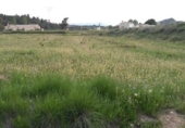 Terreny no urbanitzable en venda a la España, Calasparra, ref.: TR119472 foto