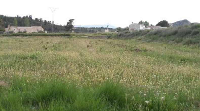Múrcia - Calasparra - 62000m2