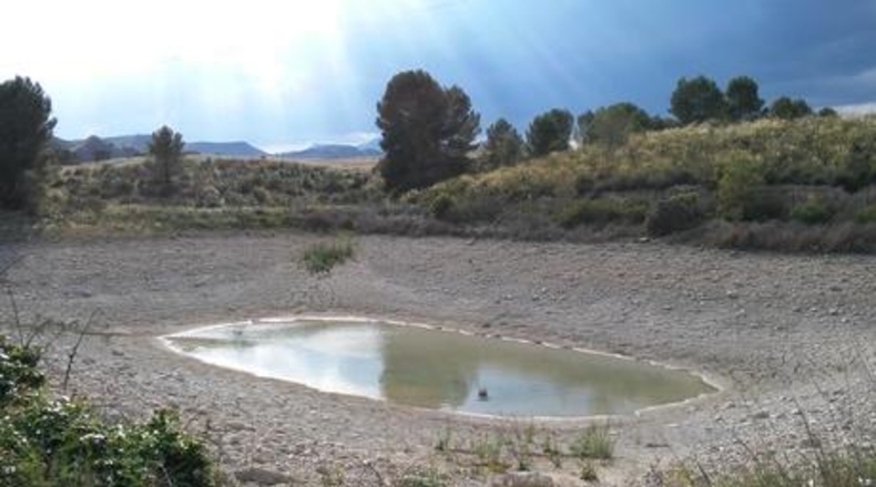 Múrcia - Calasparra - 62000m2