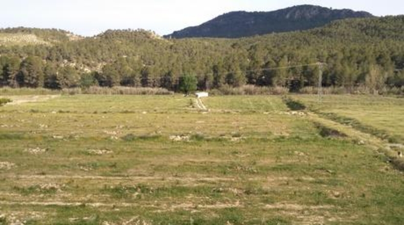 Múrcia - Calasparra - 62000m2