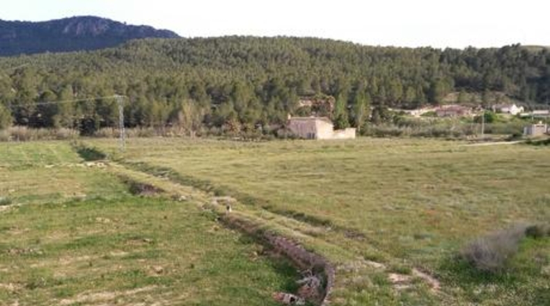 Múrcia - Calasparra - 62000m2