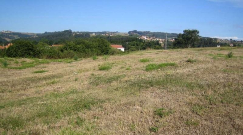 Cantàbria - Reocín - 2949m2
