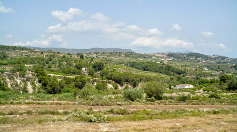 Alicante - Teulada - 19618m2