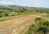 Non-developable land for sale on España, Teulada, ref: TR116155 photo