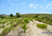 Non-developable land for sale on España, Teulada, ref: TR116155 photo