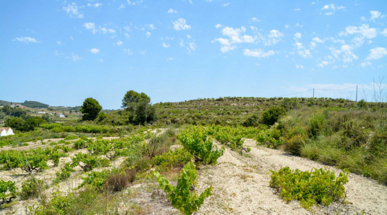 Alicante - Teulada - 19618m2