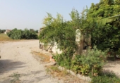 Casa de camp amb terreny en venda a la España, Elx, ref.: TR148314 foto
