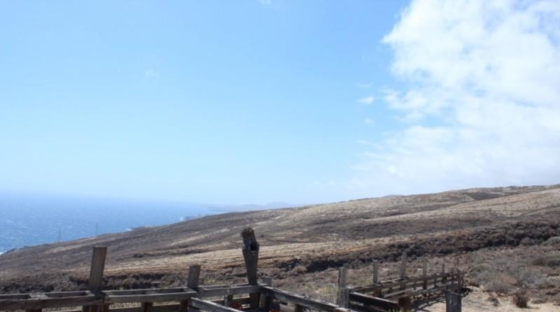 Santa Cruz de Tenerife - Güímar - 25000m2