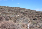 Xalet independent amb terreny en venda a la España, Güímar, ref.: TR136914 foto