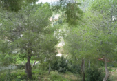 Urban land for sale on España, Sitges, ref: TR116772 photo