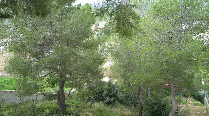Barcelona - Sitges - 561m2