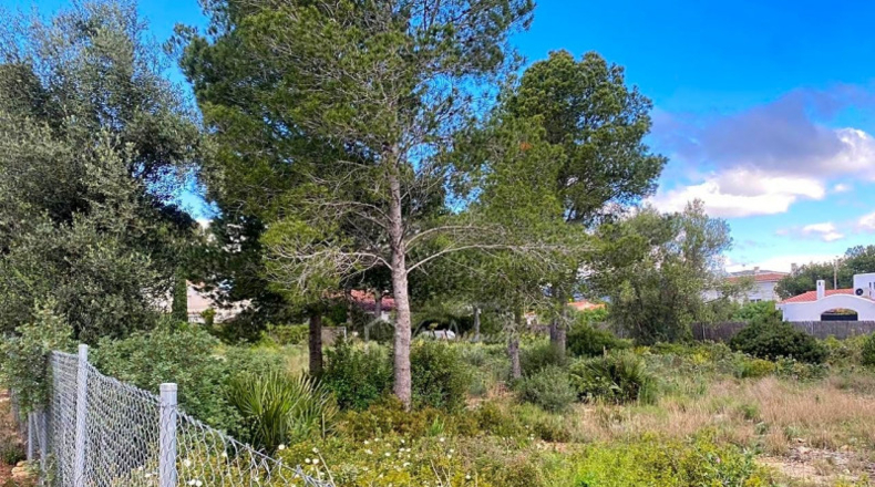 Tarragona - l'Ametlla de Mar - 1292m2