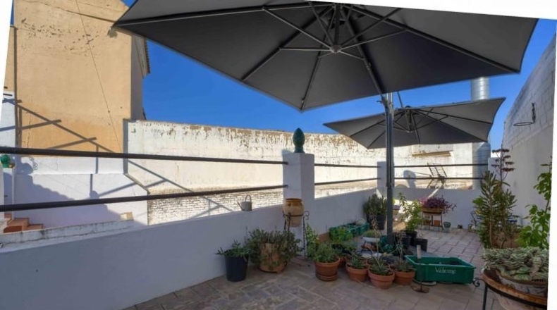 Valladolid - Olivares de Duero - 362m2