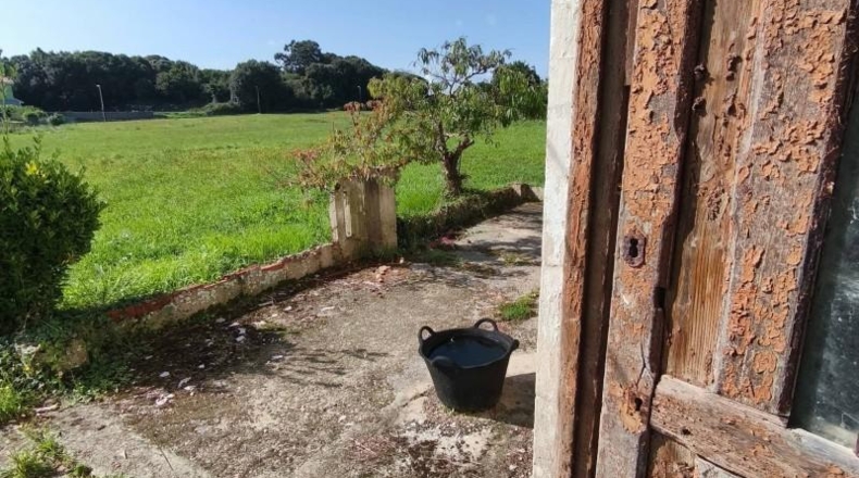 Cantabria - Santa Cruz de Bezana - 1208m2