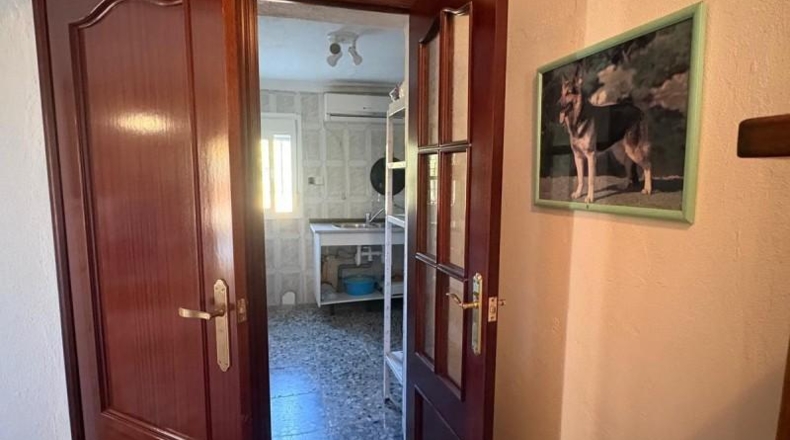 Cádiz - Chiclana de la Frontera - 4915m2