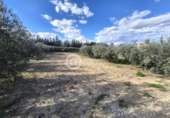 Загородный дом с участком на продажу в городе Lorca Фото