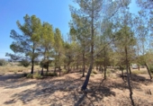 Casa de campo con terreno en venta en la España, Elda, ref: TR244727 foto