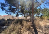 Casa de campo con terreno en venta en la España, Elda, ref: TR244727 foto