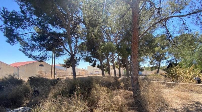 Alicante - Elda - 106753m2