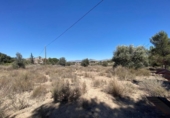 Casa de campo con terreno en venta en la España, Elda, ref: TR244727 foto