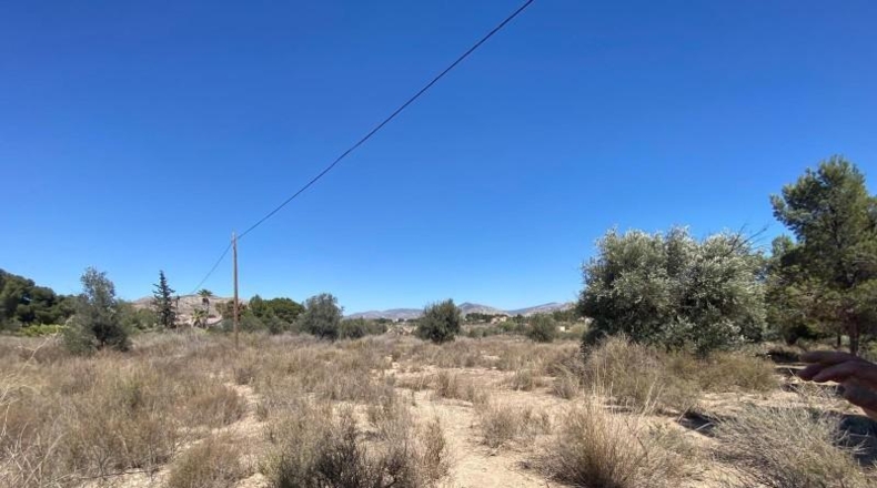 Alicante - Elda - 106753m2