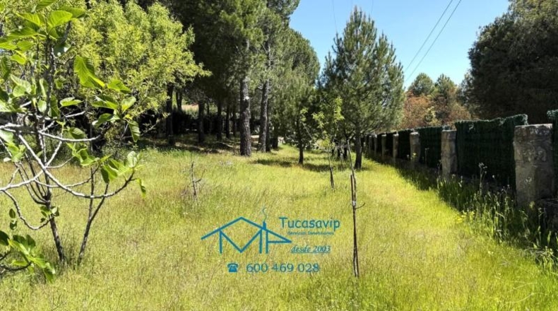 Avila - El Tiemblo - 4443m2