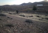 Non-developable land for sale on España, Tuineje, ref: TR317741 photo