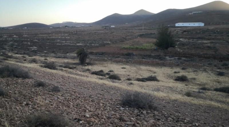 Las Palmas - Tuineje - 9035m2