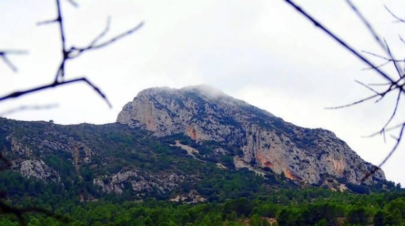 Alicante - la Romana - 14569m2