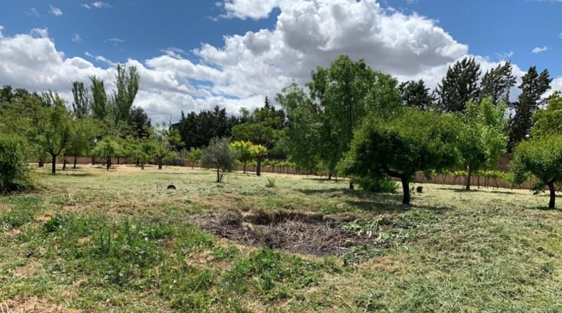 Comunidad de Madrid - Algete - 2920m2