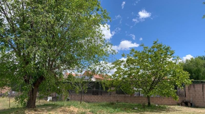 Comunidad de Madrid - Algete - 2920m2