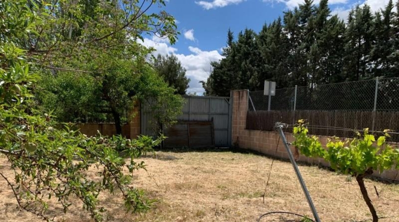 Comunidad de Madrid - Algete - 2920m2