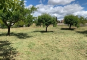 Parcel·la urbanitzable en venda a la España, Algete, ref.: TR218725 foto