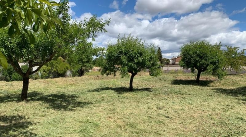 Comunidad de Madrid - Algete - 2920m2