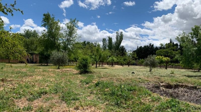 Comunidad de Madrid - Algete - 2920m2