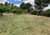 Parcel·la urbanitzable en venda a la España, Algete, ref.: TR218725 foto