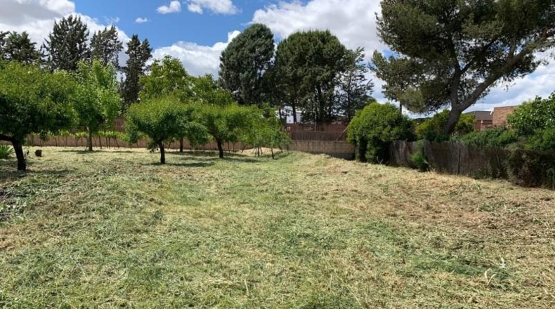 Comunidad de Madrid - Algete - 2920m2